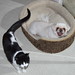 Billy Neeley Photo 12