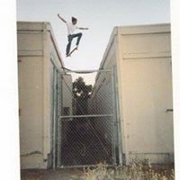 Phillip Burt Photo 19