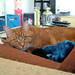 Ginger Kirby Photo 21