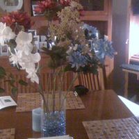 Sandra Holmes Photo 38