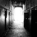 Joseph Conlon Photo 29