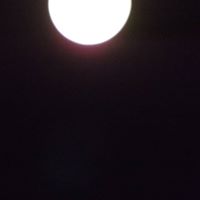 Alton Scott Photo 22