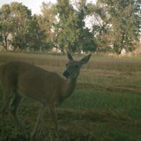 Nathan Holden Photo 34