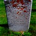 Sarah Forsyth Photo 32
