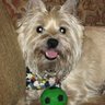 Carol Tackett Photo 26