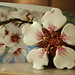 Jill Skinner Photo 24