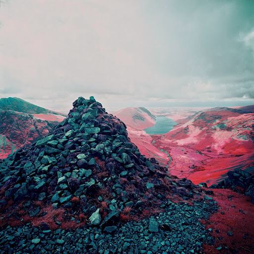 Daniel Ellis Photo 19