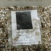 Francis Reynolds Photo 31