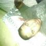 Khalid Ali Photo 35