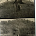 Virginia Shaw Photo 13