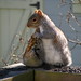 Sharon Gray Photo 26