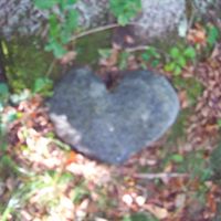 Deborah Stratton Photo 16