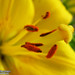 James Bingham Photo 20