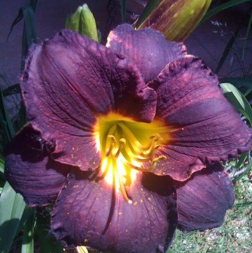 Jason Covey Photo 17