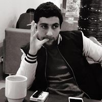 David Karapetyan Photo 8