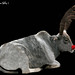 Rudolph Will Photo 6