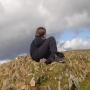 Josh Calvert Photo 26