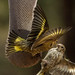 Jeffrey Estes Photo 5