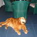 Clancy Amy Photo 3