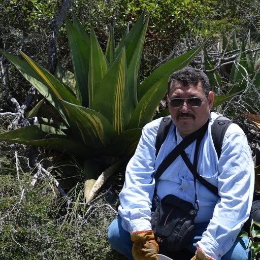 Manuel Nevarez Photo 9