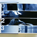 Susan Close Photo 34
