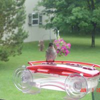 Laura Mcdermott Photo 20