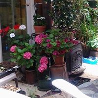Peggy Phillips Photo 24