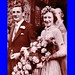 Pamela Davies Photo 32