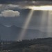 Mary Hartz Photo 18
