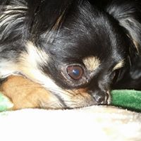 Heather Raney Photo 7
