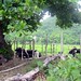 John Jowers Photo 24