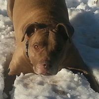Jeremiah Lockhart Photo 8