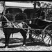 Fred Bailey Photo 1