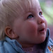 Alice Bradfield Photo 6