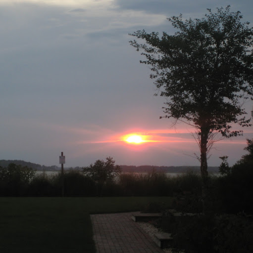 Christina Mcelroy Photo 5