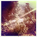 Flora Ray Photo 11