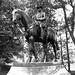 Marshall Dill Photo 11