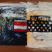 Sandra Yang Photo 26