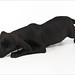 Sherry Shipley Photo 19