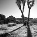 Joshua Chase Photo 15