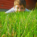 Nicholas Bright Photo 20