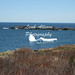 John Elliston Photo 8