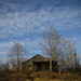 Marion Leavitt Photo 5