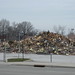 Marc Shulman Photo 13