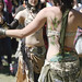 Robin Mitchell Photo 8