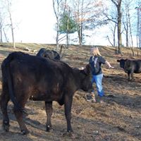 Nancy Landis Photo 10