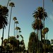 Beverly Cronin Photo 11