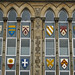Andy Shields Photo 28