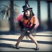 Casey Fox Photo 6