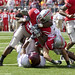 Chris Wells Photo 8